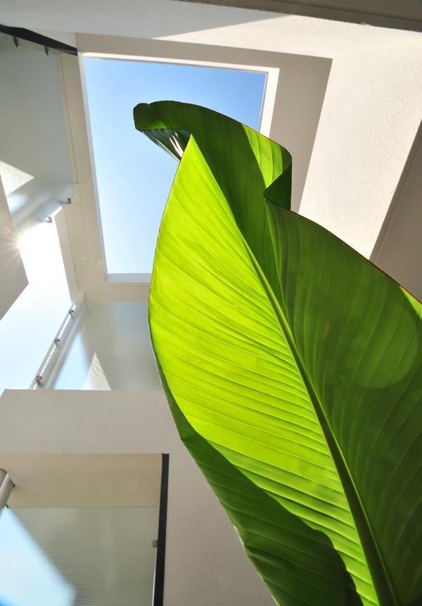 Hotel Eden Park Pau Est, Avec Piscine Екстериор снимка